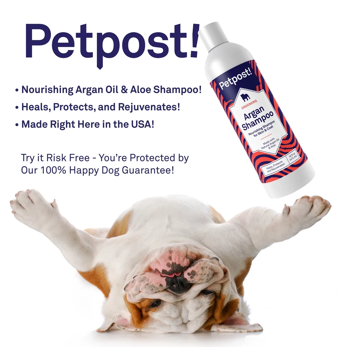 Petpost | Argan Shampoo for Dogs - Naturally Heals, Protects, & Rejuvenates Dog Dry Skin & Coat - Argan Oil and Aloe Formula