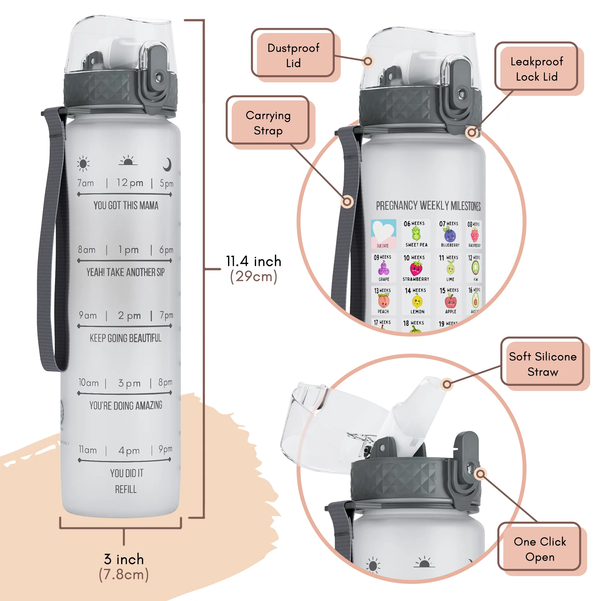 Mewl Pregnancy Water Bottle Tracker with Straw BPA Free & 36 Weekly Pregnancy Milestone Stickers