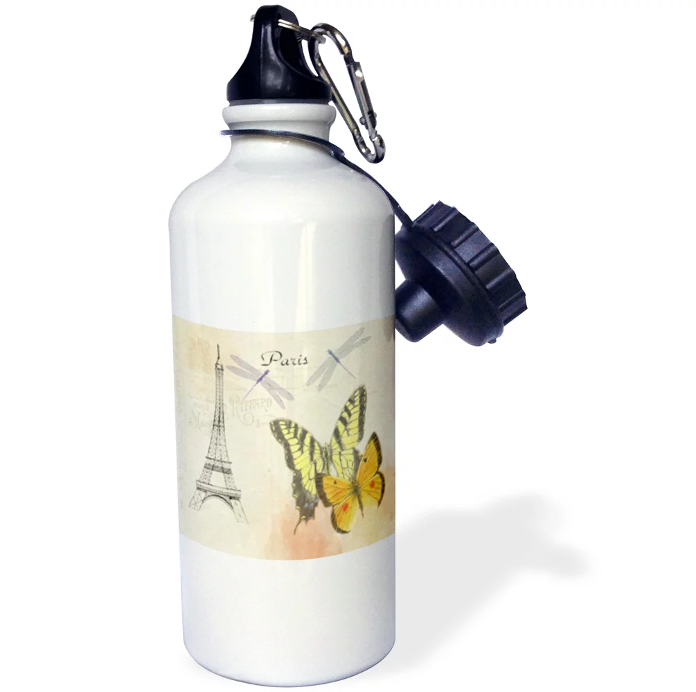 3dRose Image of Dragon Butterflies Vintage Style Paris - Water Bottle, 21-ounce
