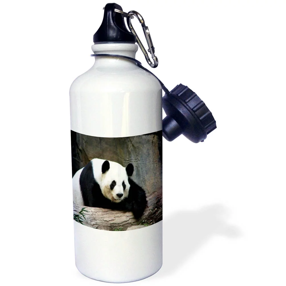 Giant Panda 21 oz Sports Water Bottle wb-47885-1