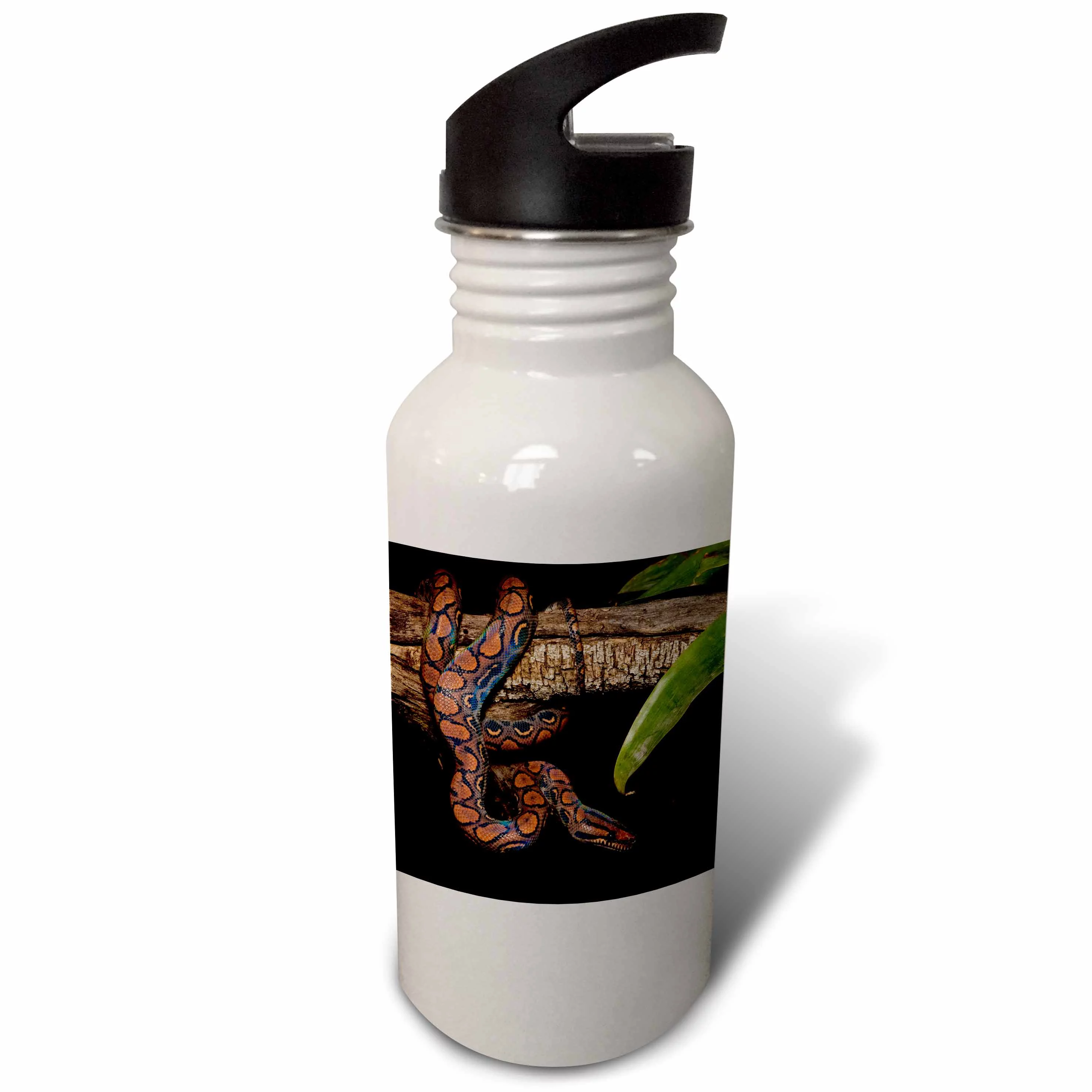 Rainbow Boa Snake, Amazon rainforest, Ecuador - SA07 POX1359 - Pete Oxford 21 oz Sports Water Bottle wb-86348-1