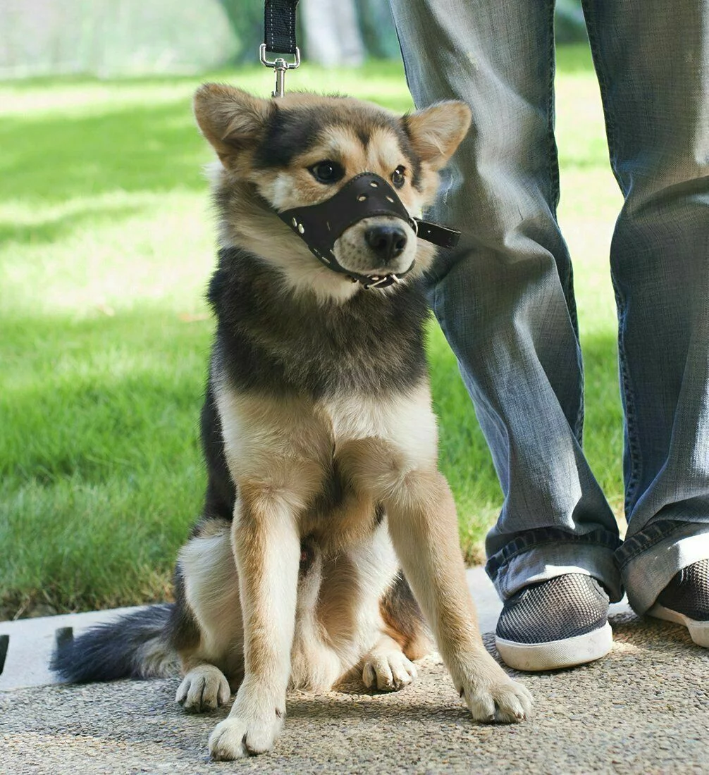 US Adjustable Anti-Biting Pet Dog Soft PU Leather Muzzles Mouth Mesh Cover Masks