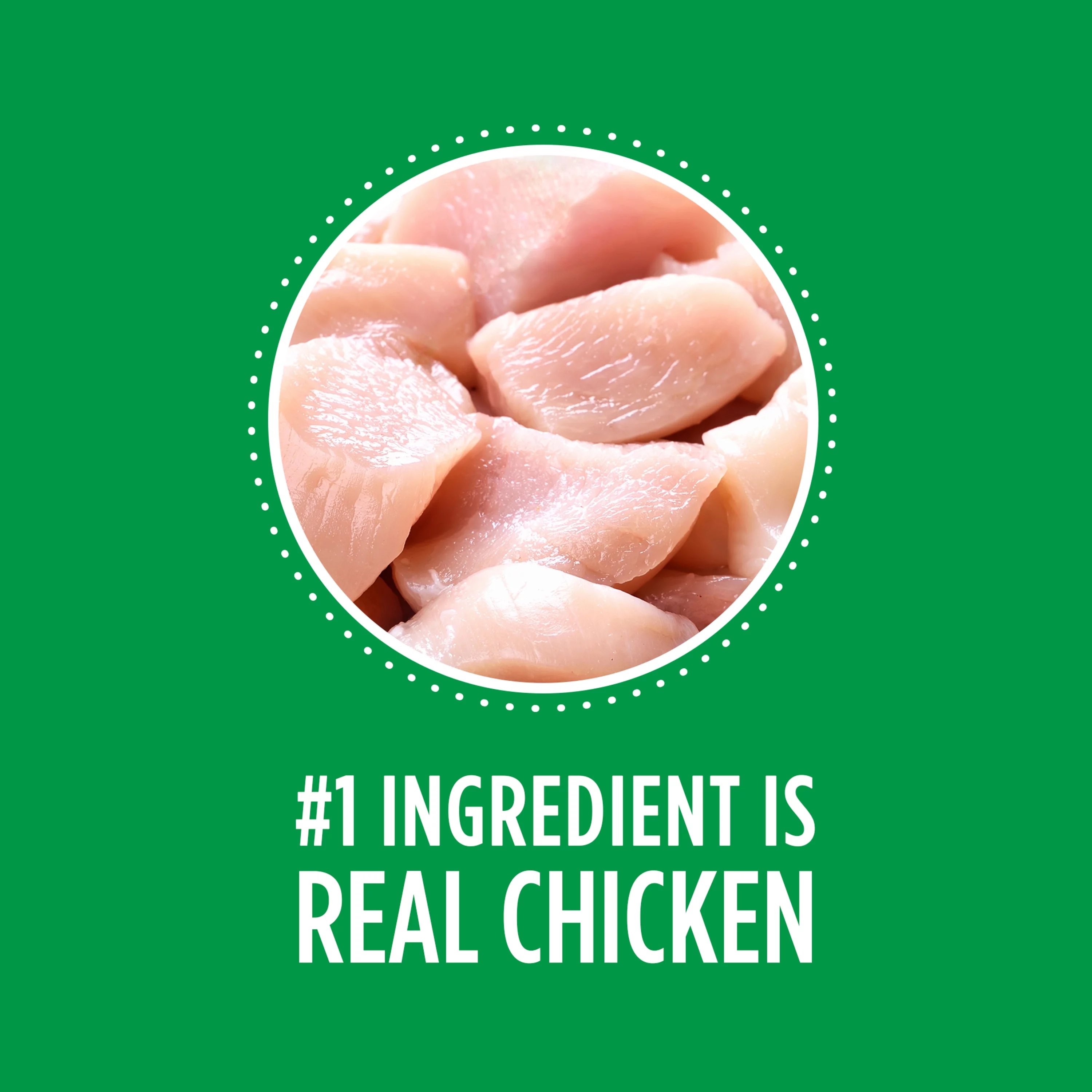 Iams Proactive Health Minichunks Adult Small Kibble Dry Dog Food With Real Chicken, 3.3 Lb. Bag