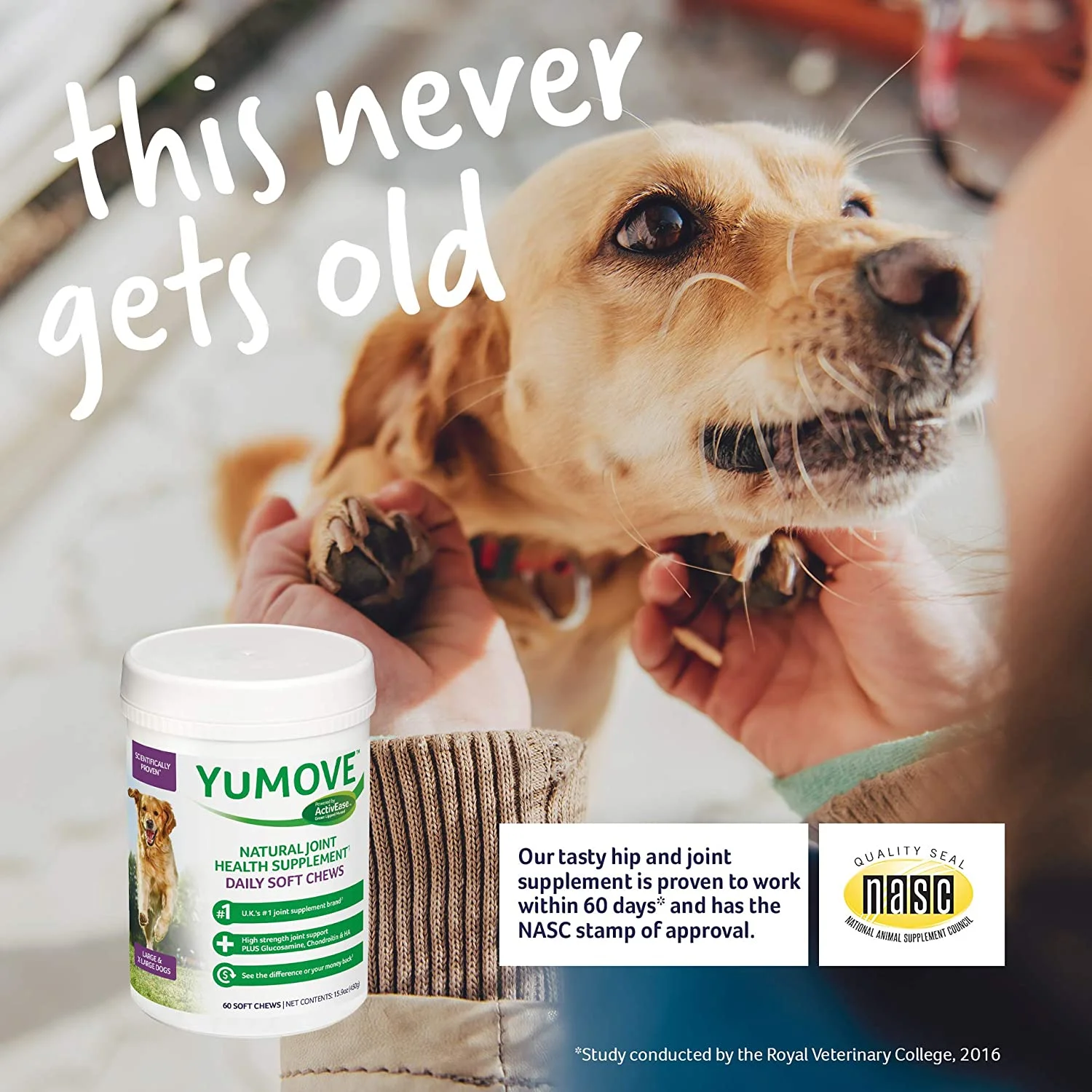 Lintbells YuMOVE Joint Supplement Dog Chews - Contains Glucosamine, Green Lipped Mussel - Natural Relief from Hip Ache, Stiff Joints - 1 Month’s Supply