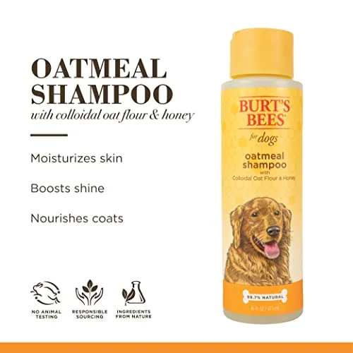 Burt's Bees for Dogs Oatmeal Dog Shampoo | With Colloidal Oat Flour & Honey | Moisturizing & Nourishing, Cruelty Free, Sulfate & Paraben Free, pH Balanced for Dogs - Made in USA, 16 Oz