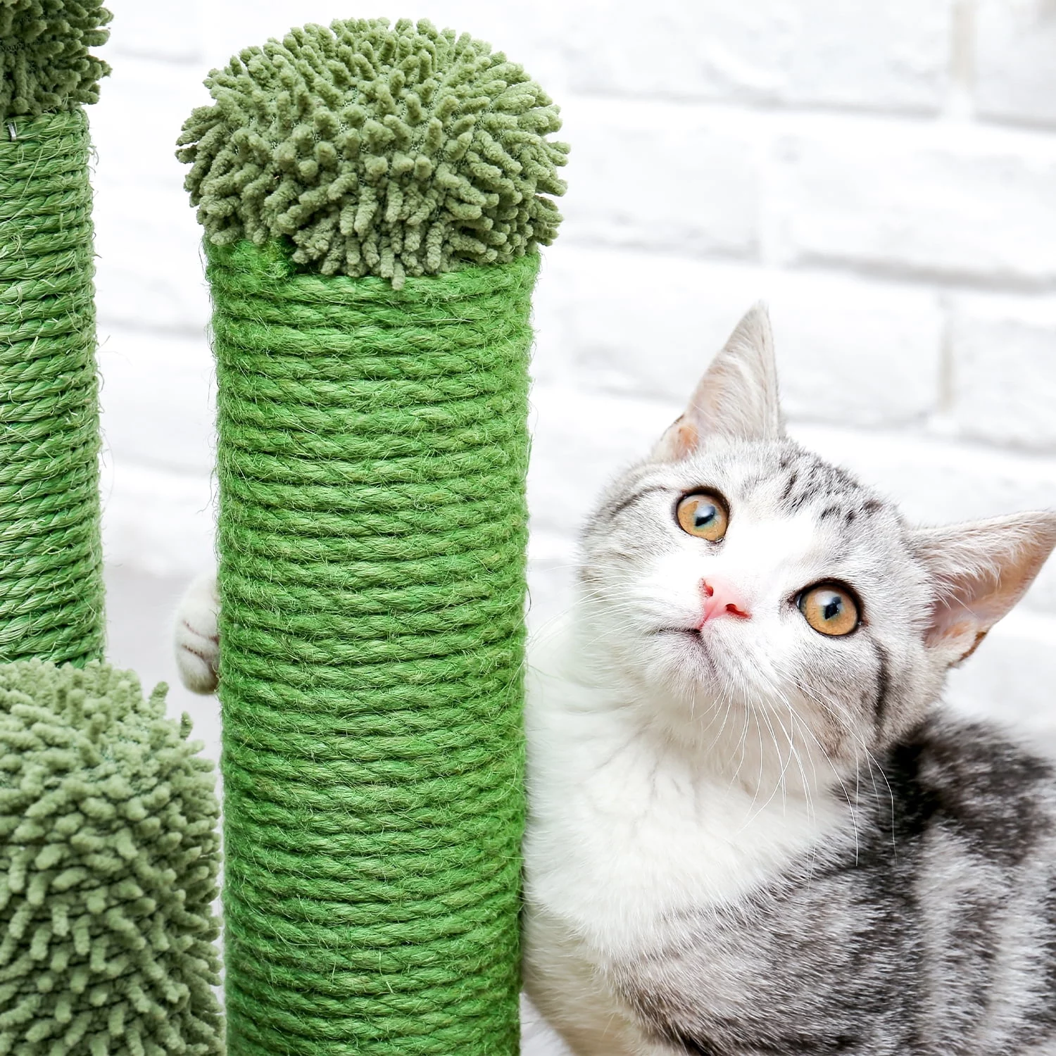 Cactus Cat Scratching Posts Sisal Claw Scratcher Cat Interactive Toy Gift, Green