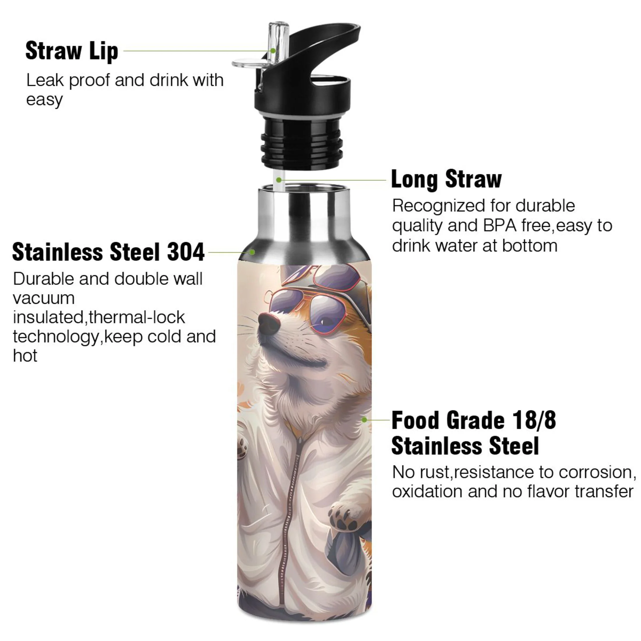 Dog and Sunglasses in Flowers Water Bottles Insulated Thermos Kids Stainless Steel Bottle with Straw Lid Flask Leakproof for Sports Gym 20 oz