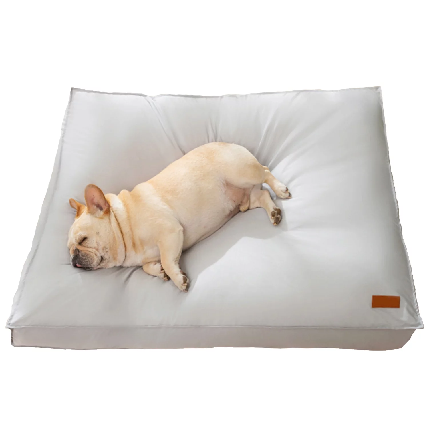 BT Bear Dog Bed, Waterproof Dog Bed with Removable Washable Cover, Pet Bed Mat Suitable for Cats Small Medium Dogs 1-40 Pounds Gray S