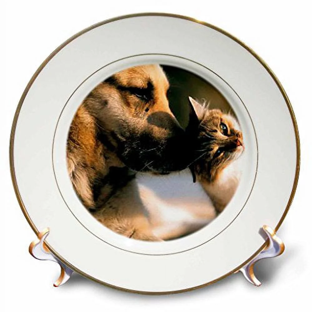 Cats and Dogs 8 inch Porcelain Plate cp-1055-1