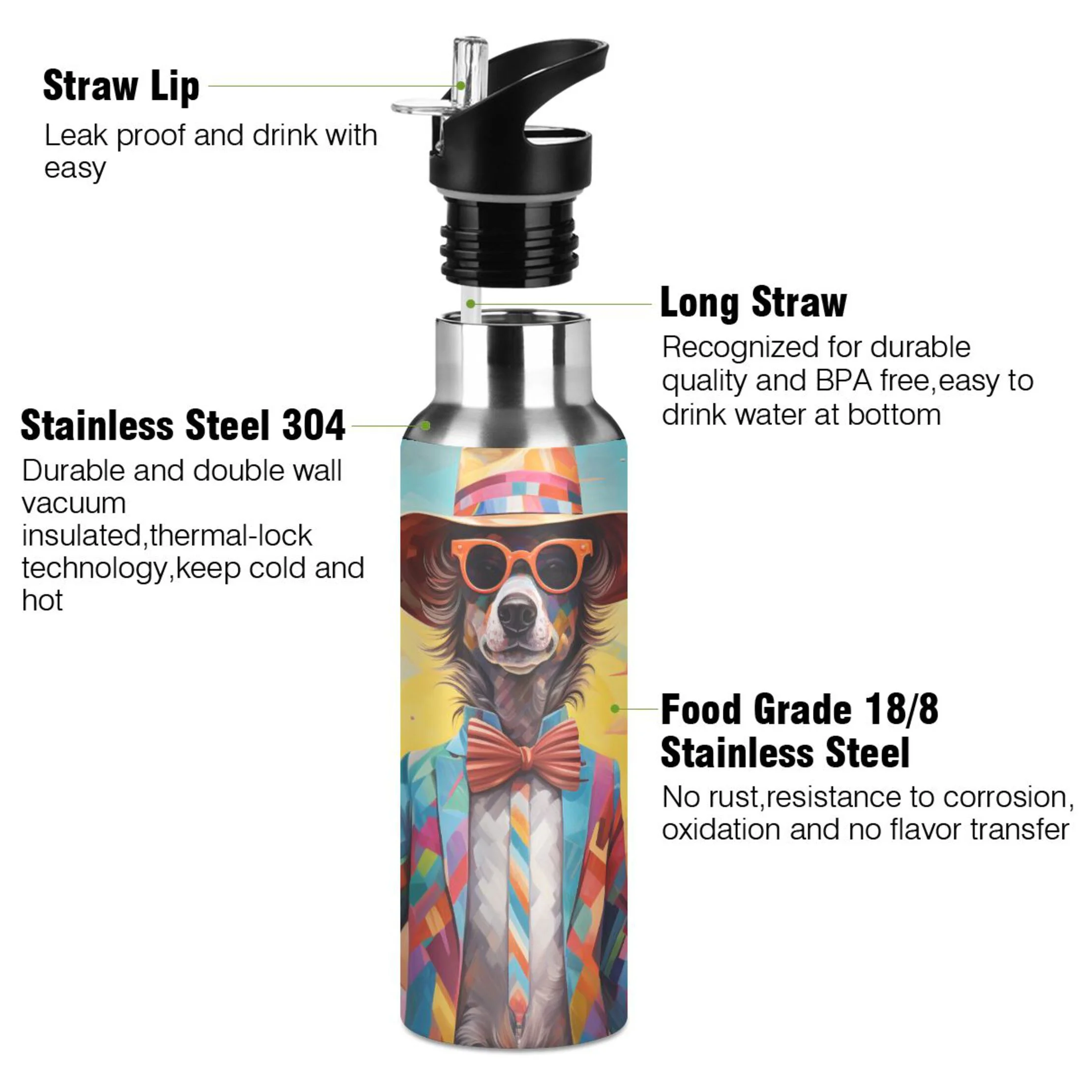 Abstract Dog with Hat and Glasses Water Bottles Insulated Thermos Kids Stainless Steel Bottle with Straw Lid Flask Leakproof for Sports Gym 20 oz