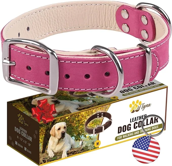ADITYNA Heavy-Duty Premium Leather Dog Collar for Medium Dogs - Padded with Soft Genuine Leather for a Cozy Feel
