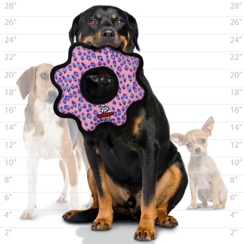 Tuffy Ultimate Gear Ring Pink Leopard, Durable Squeaky Dog Toy