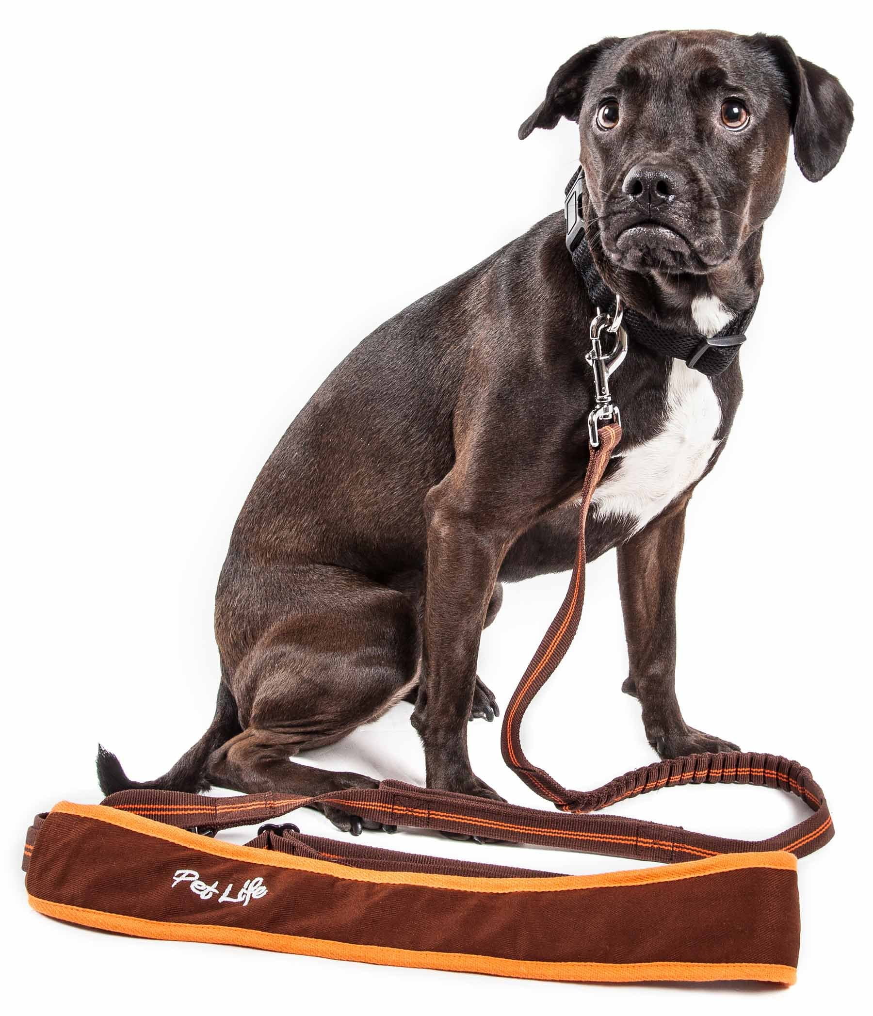 Pet Life ® 'Free-Fetcher' Hands Free Over-The-Shoulder Shock Absorbent Dog Leash