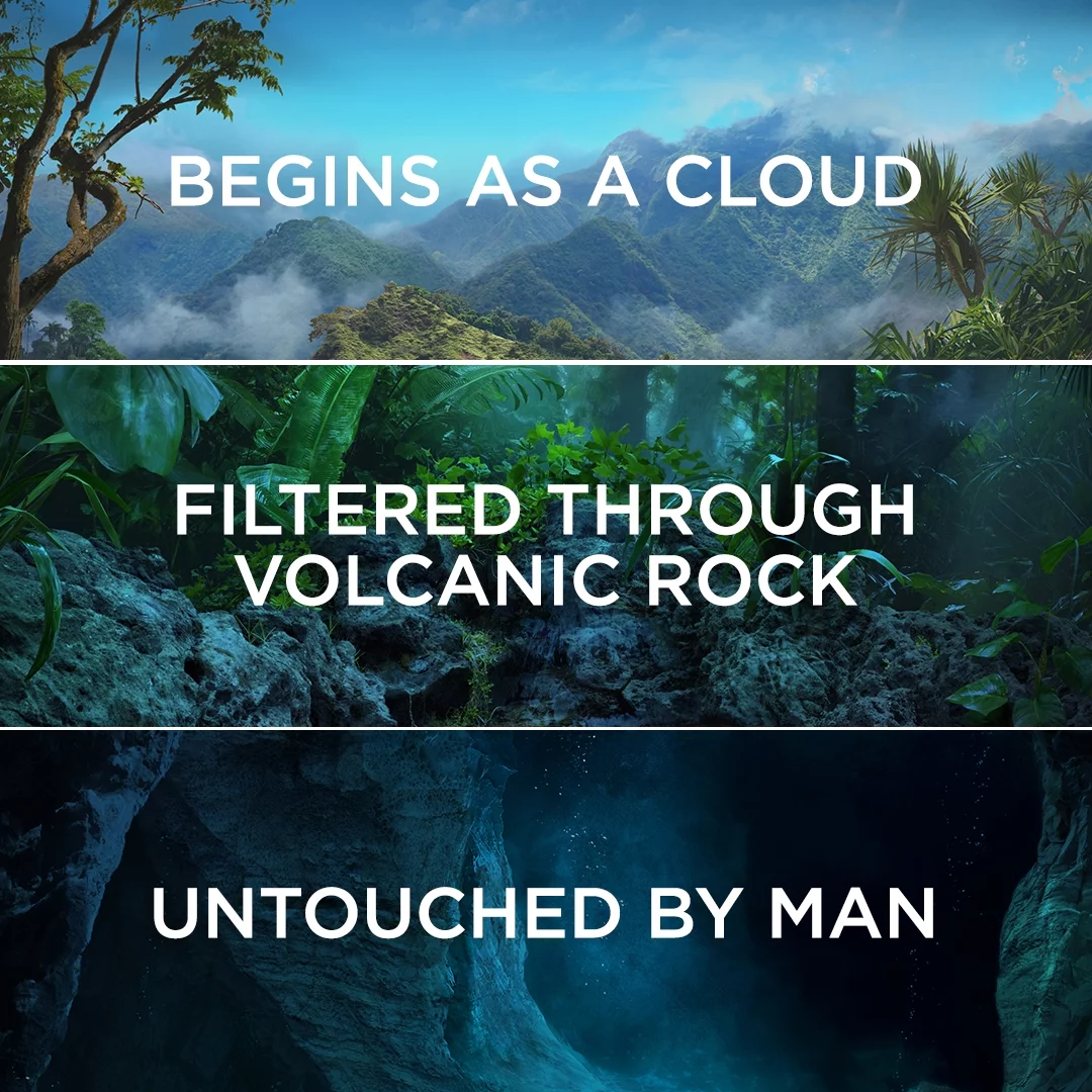 FIJI Natural Artesian Water, 23.7 Fl Oz (Pack of 12)