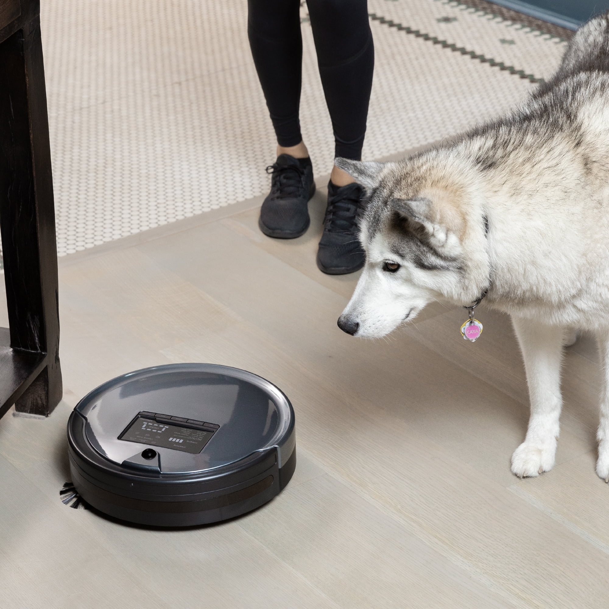 Bobsweep Pet Hair Plus Robotic Vacuum Cleaner and Mop, Charcoal