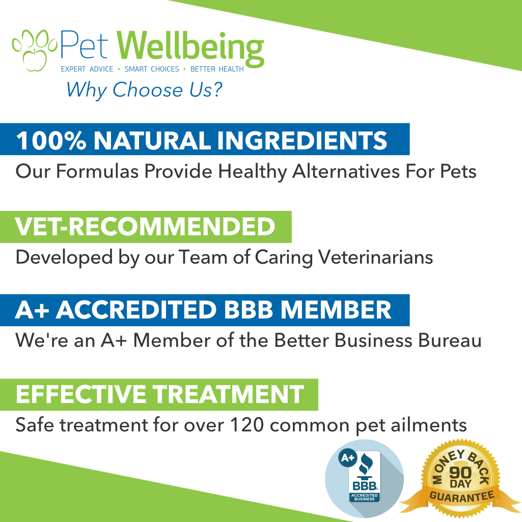 Pet Wellbeing Cat Allergy Remedy - Nettle-Eyebright Gold 2oz