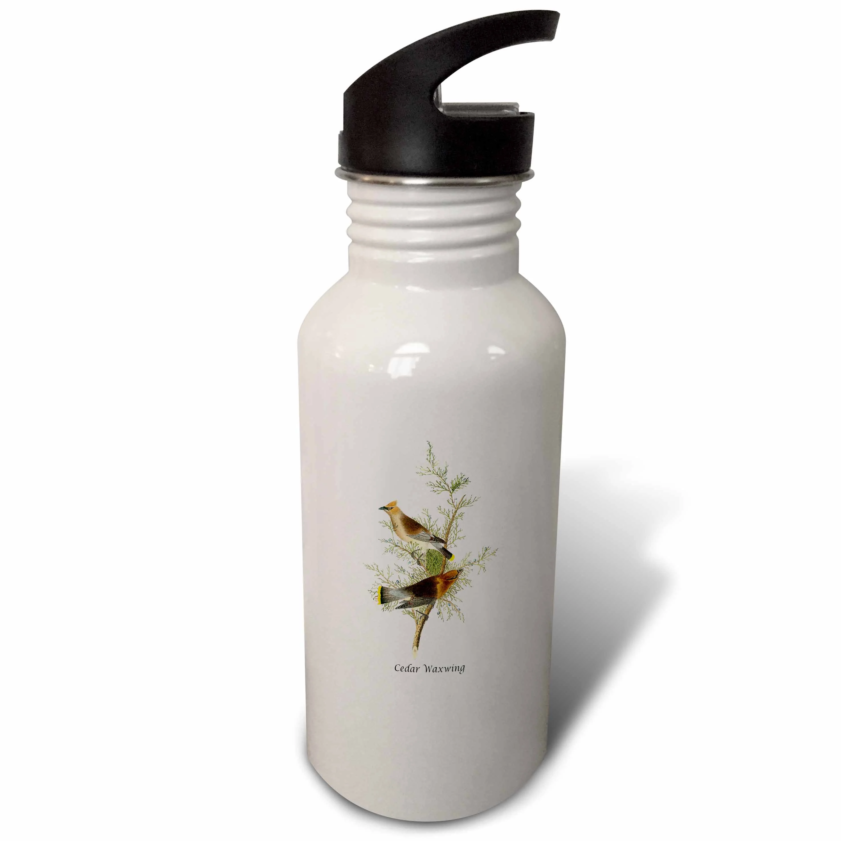 Cedar Waxwing by John James Audubon 21 oz Sports Water Bottle wb-114034-1