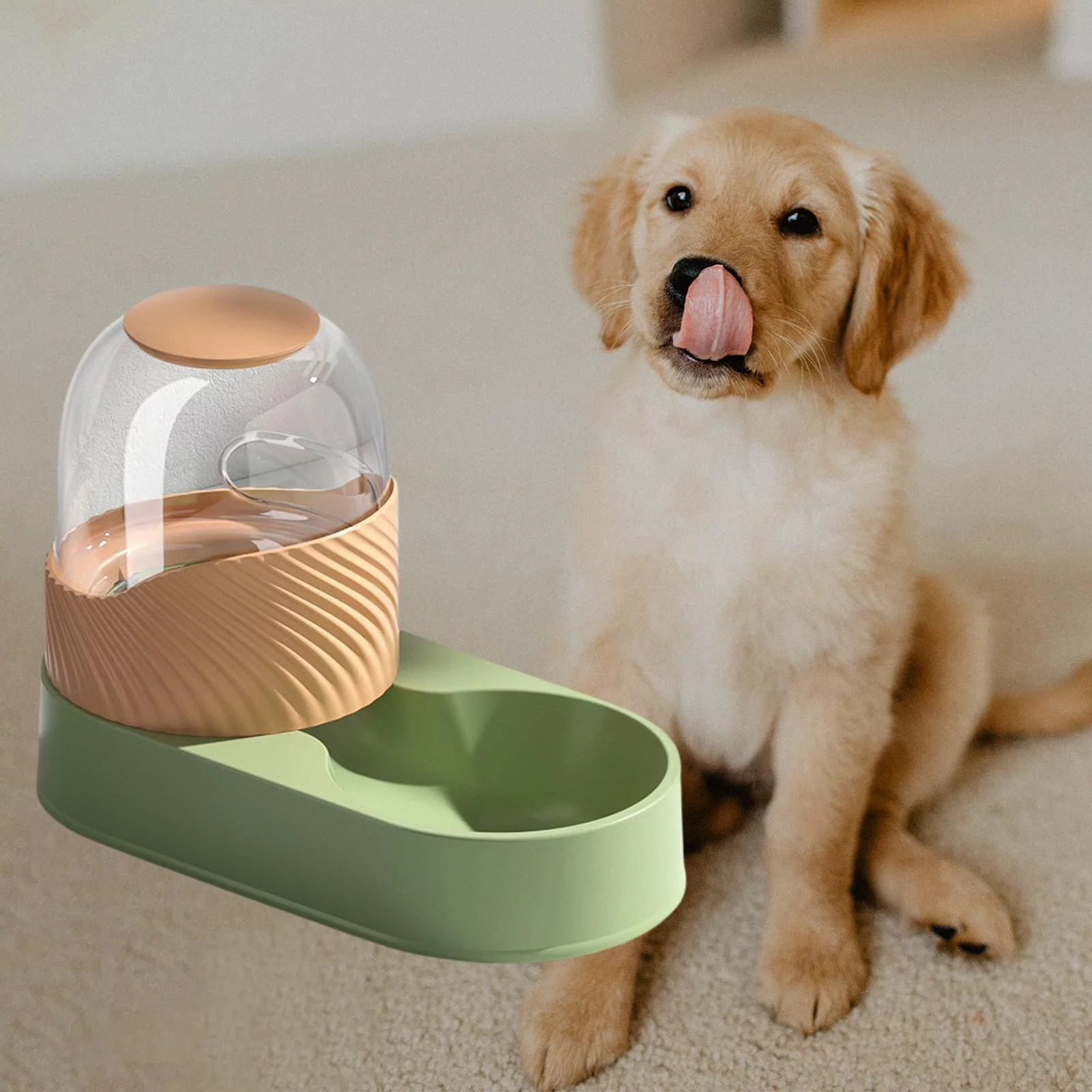 Cat Feeder, Automatic , Pets Food Dispenser, Water Drinking Drinker Dish Puppy Kitten , Green Food Feeder
