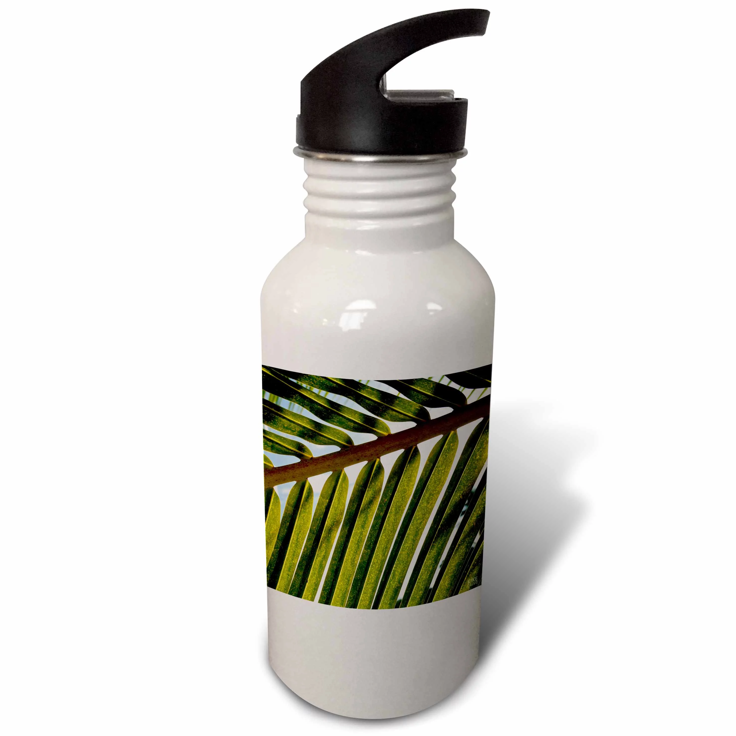 Palm trees and ocean San Blas Islands 21 oz Sports Water Bottle wb-10393-1