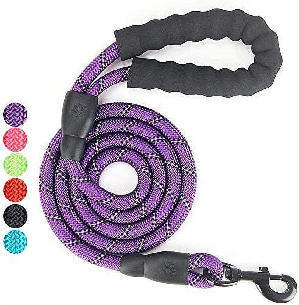Fullgaden 5 FT Reflective Dog Leash, Heavy Duty with Comfortable Padded Handle, Purple