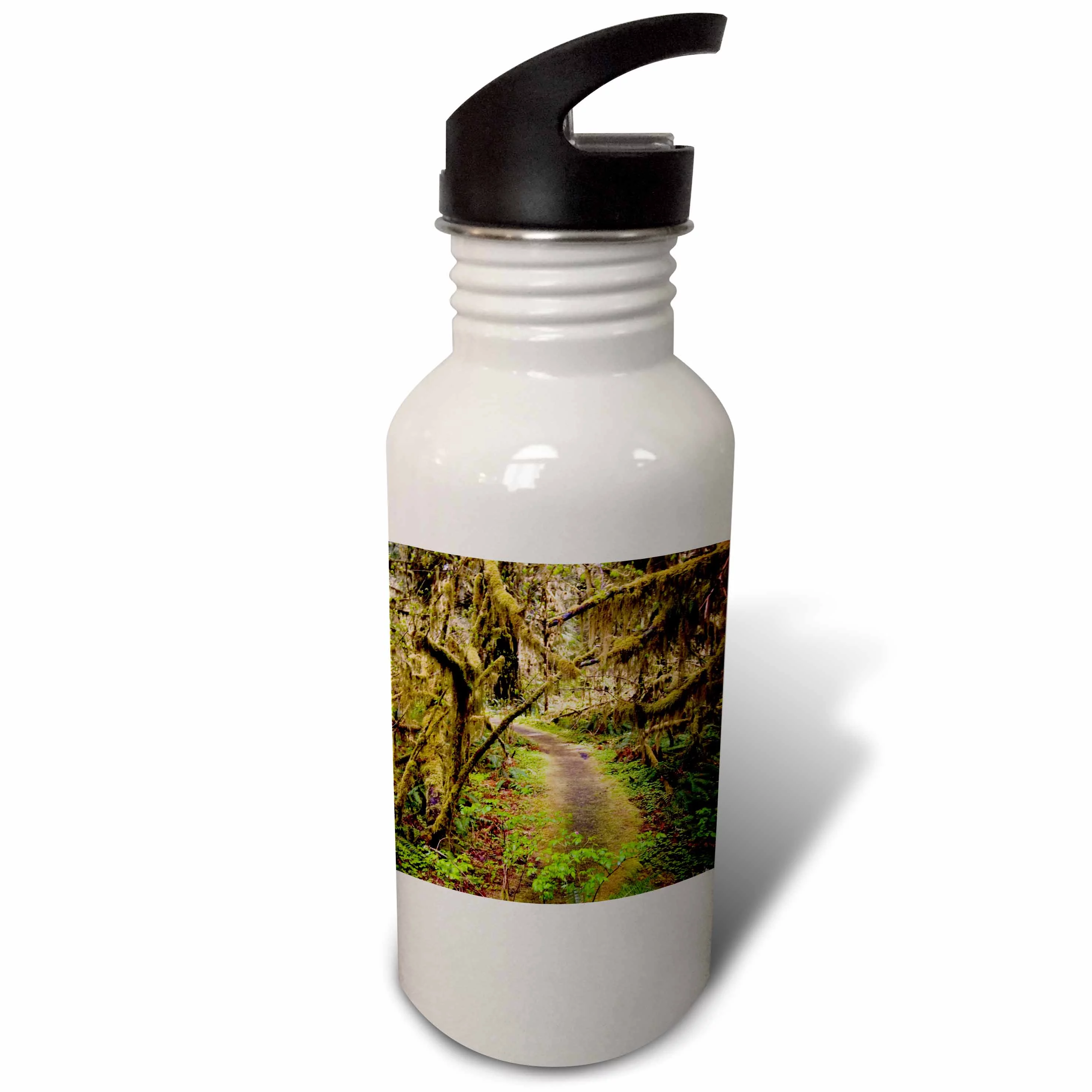 Hoh Rainforest, Olympic Peninsula, Washington - US48 MWR0008 - Micah Wright 21 oz Sports Water Bottle wb-96515-1