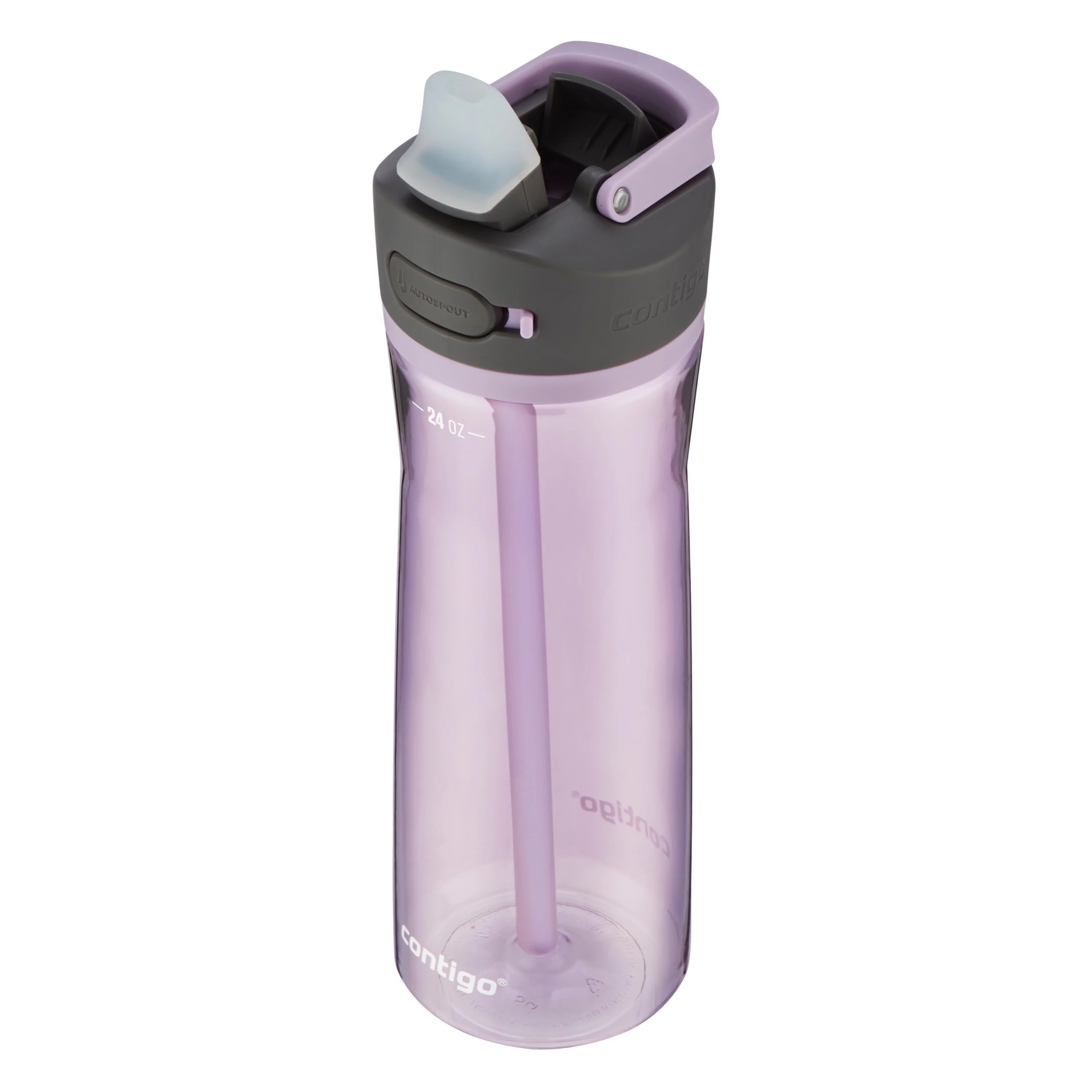 Contigo Ashland 2.0 24 oz Lavender and Black Plastic Water Bottle with Straw Lid