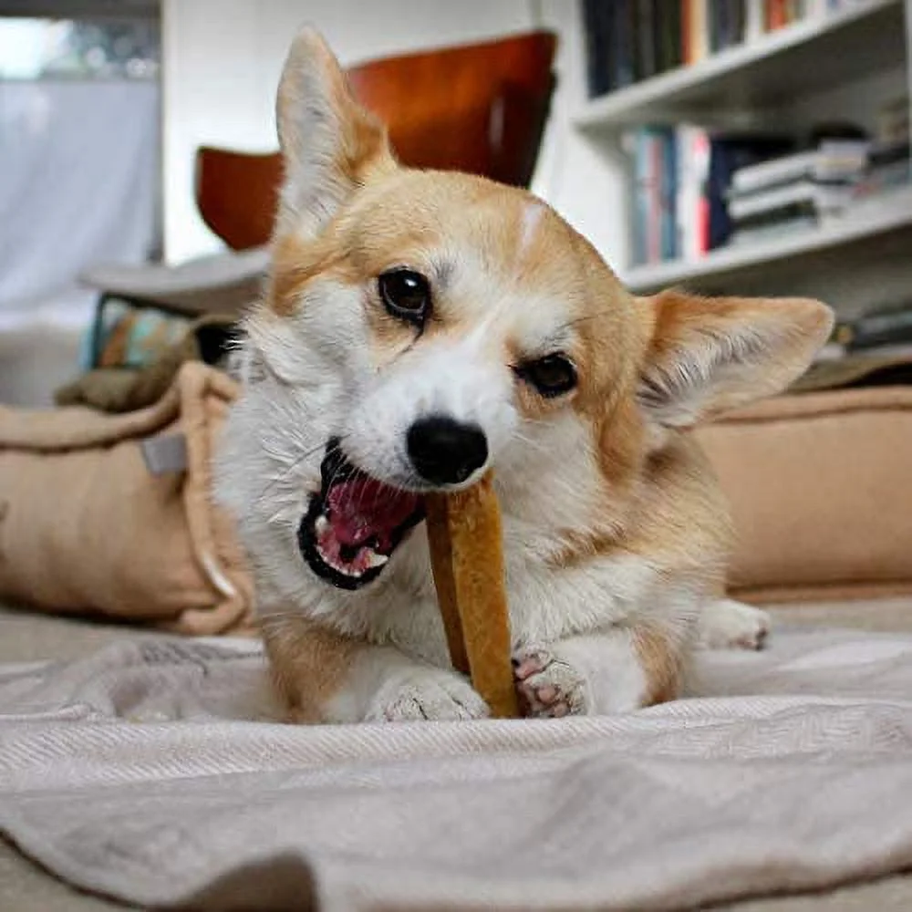 Doggo Dog Chew, Natural Himalayan Yak Cheese Long Lasting Chew, Medium, 3 Pound (18 Pieces)