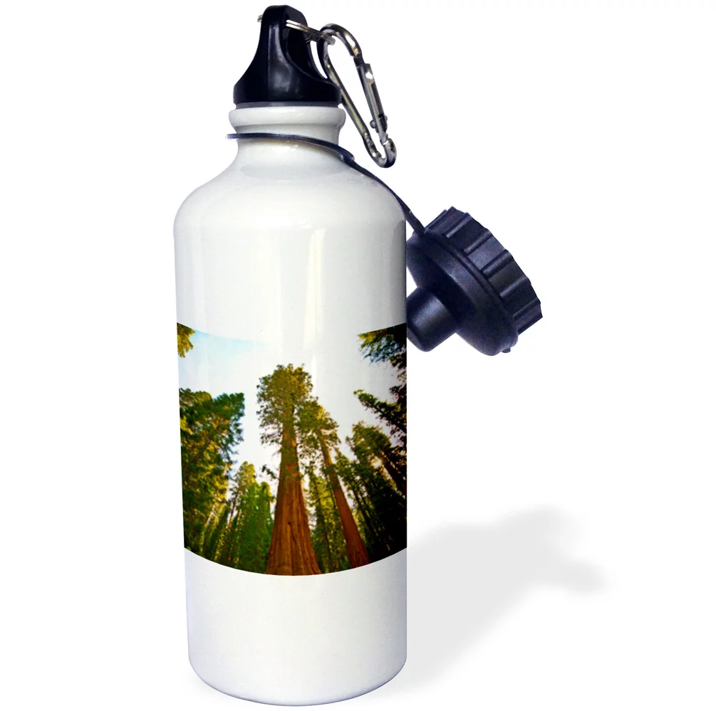 3dRose California, Sequoia, Kings Canyon NP, Giant Sequoia Tree - Water Bottle, 21-ounce
