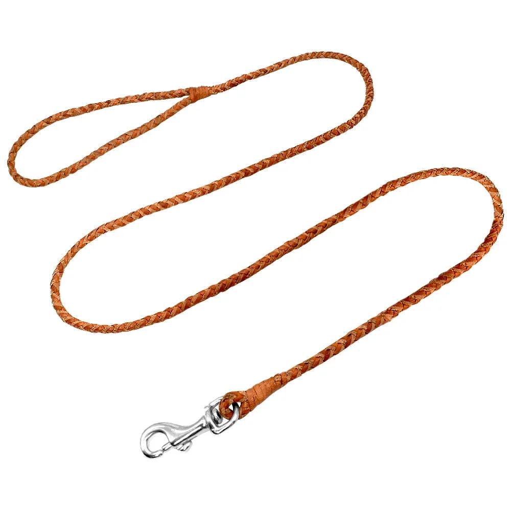 4ft Strong Dog Leash Braided Leather Rolled Rope Lead for Small Medium Large Dog