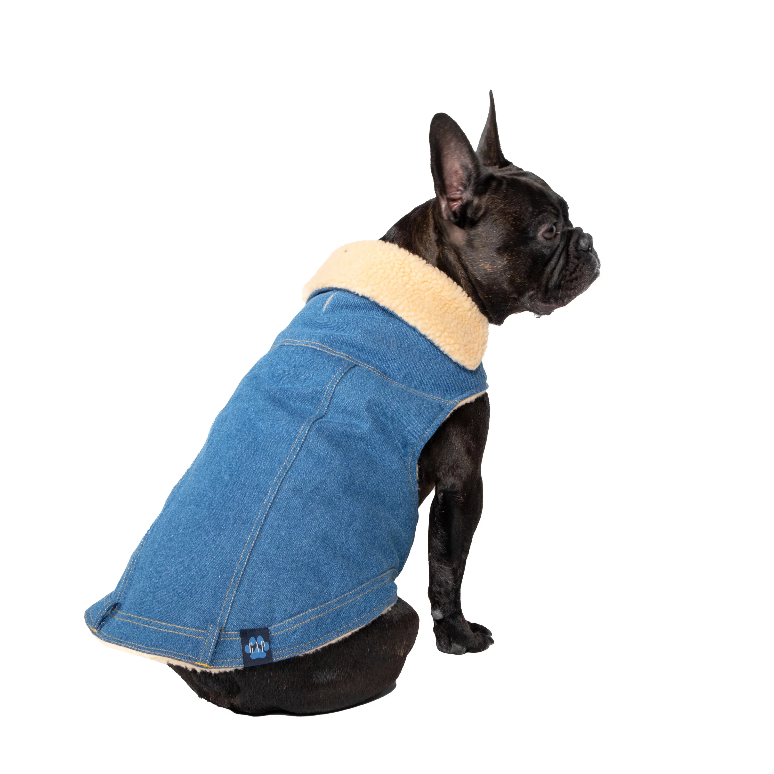 Gap Pet, Dog Clothes, Blue Denim Pet Jacket