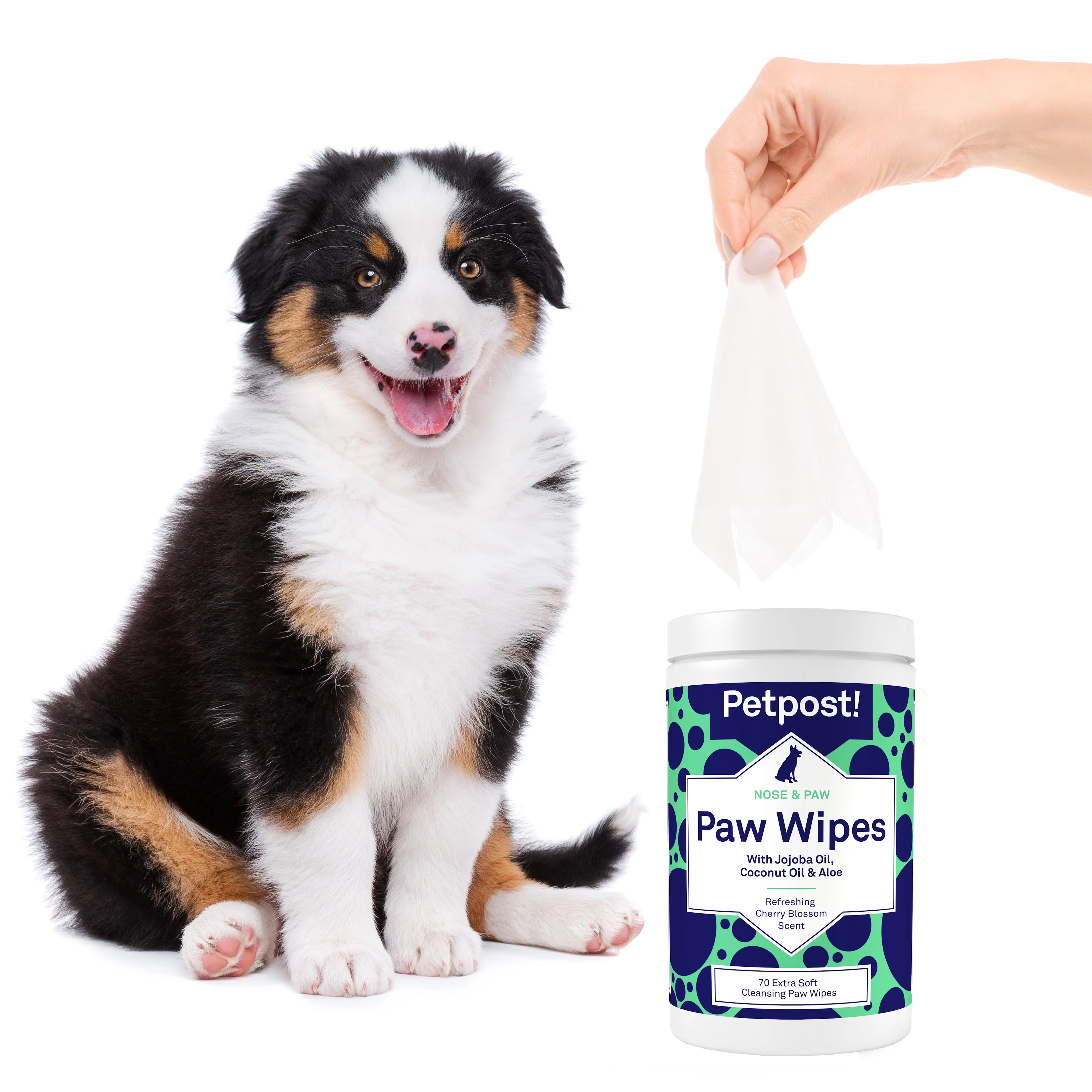 Petpost | Paw Wipes for Dogs - Nourishing, Revitalizing Dog Paw Cleaner with Coconut Oil, Jojoba Oil, and Aloe - 70 Ultra Soft Cotton Pads (Cherry Blossom)