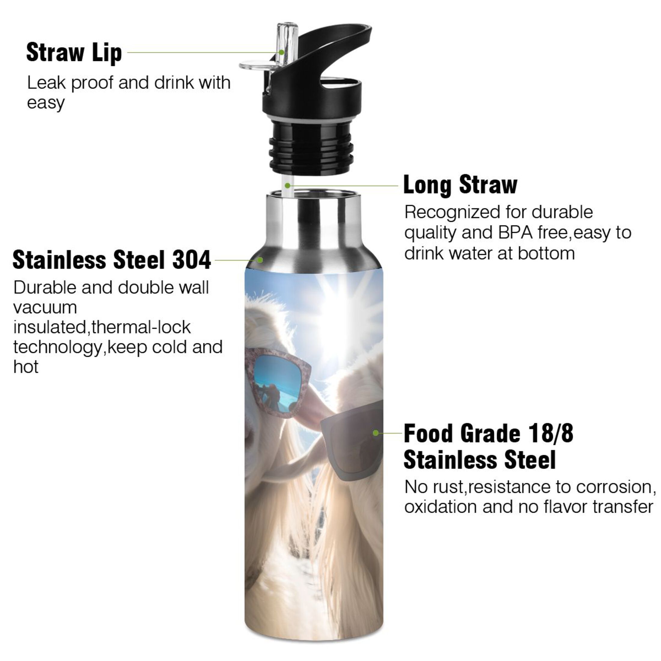 Sheeps with Glasses Water Bottles Insulated Thermos Kids Stainless Steel Bottle with Straw Lid Flask Leakproof for Sports Gym 20 oz