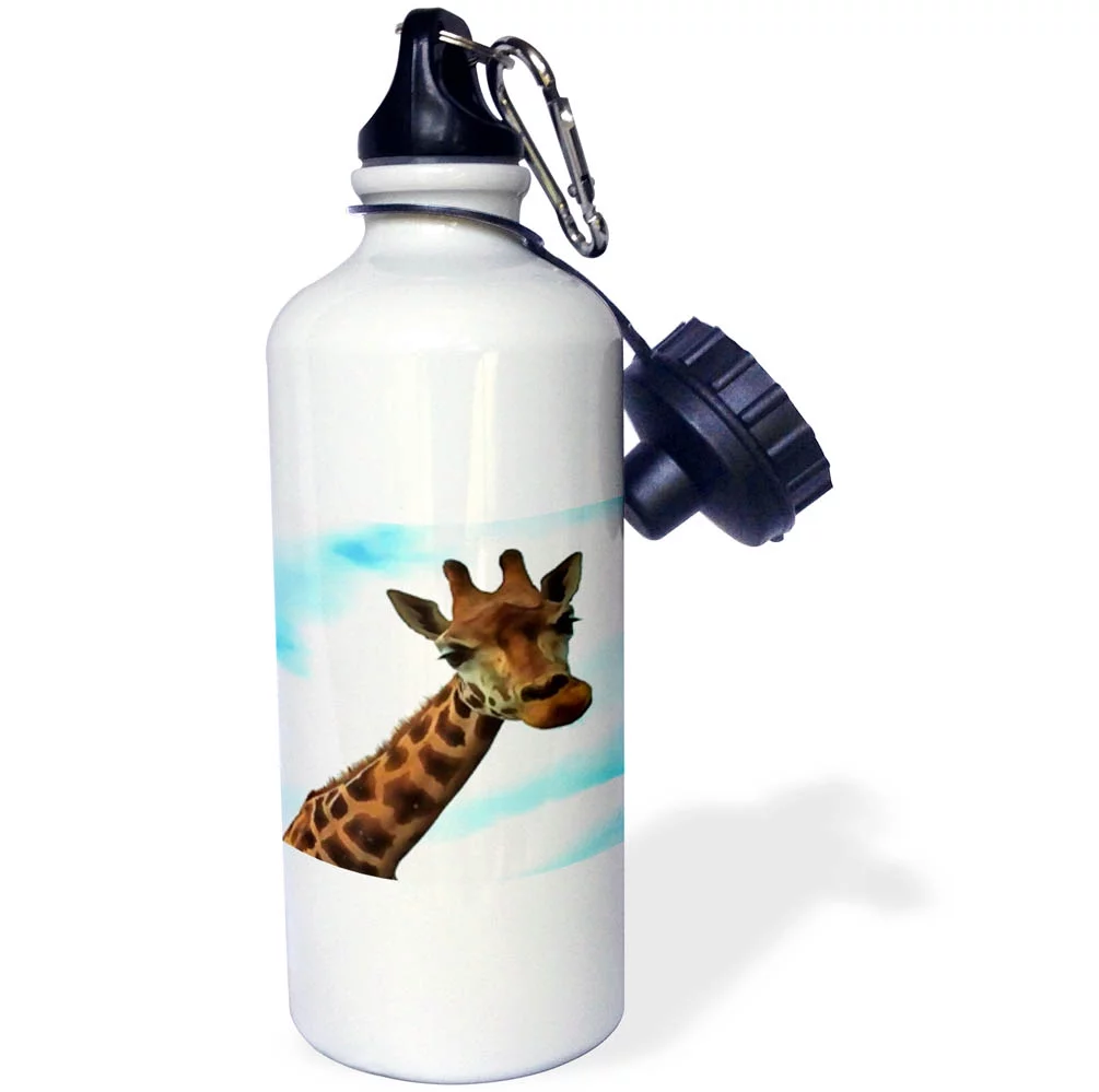 3dRose Hello Up There Fun Giraffe With Nerdy Expression - Straw Water Bottle, 21-ounce
