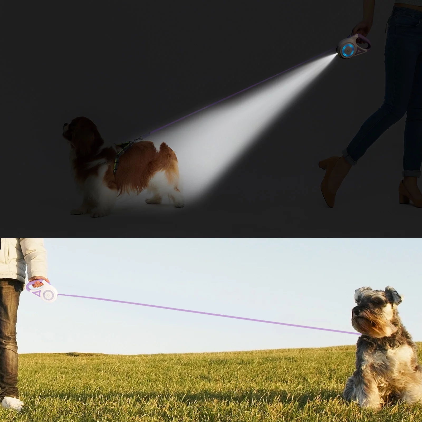 BEBANG Retractable Dog Leash, 16ft with Light, Anti-Slip Handle, One Button Brake & Lock Tangle-Free Dog Retractable Leash