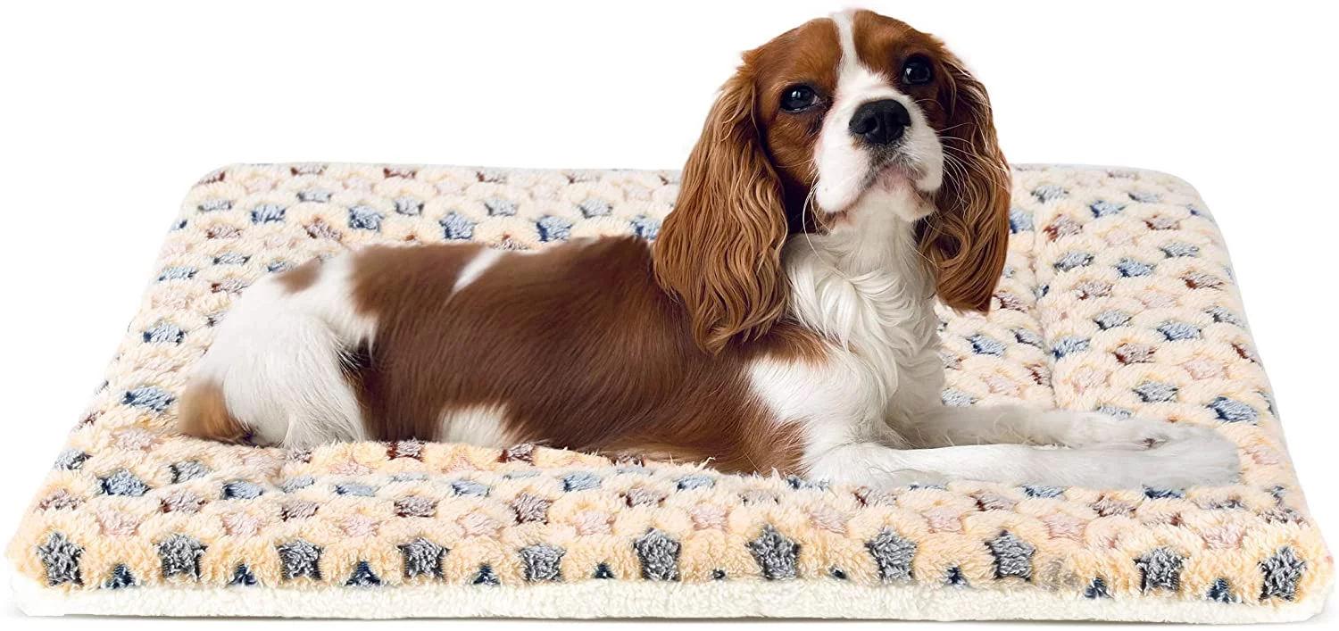 Ultra Soft Pet (Dog/Cat) Bed Mat with Cute Prints | Reversible Fleece Dog Crate Kennel Pad | Machine Washable Pet Bed Liner (24-Inch, Brown)