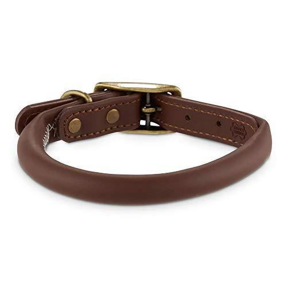 reddy brown leather dog collar, small by petco