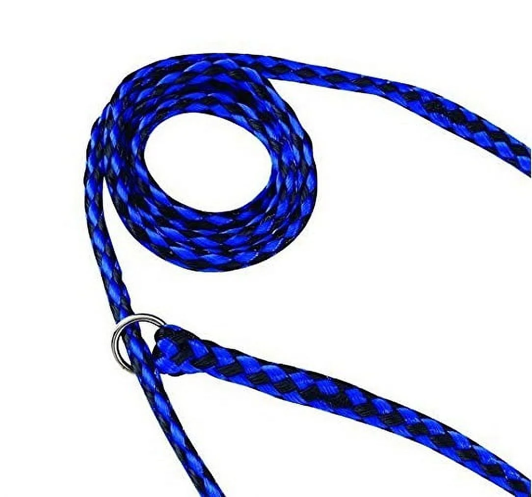 Braided Poly Dog Leads Slip Style Kennel Pet Leash O Ring 5ft Long Choose Color (Blue/Black - 12 Pack)