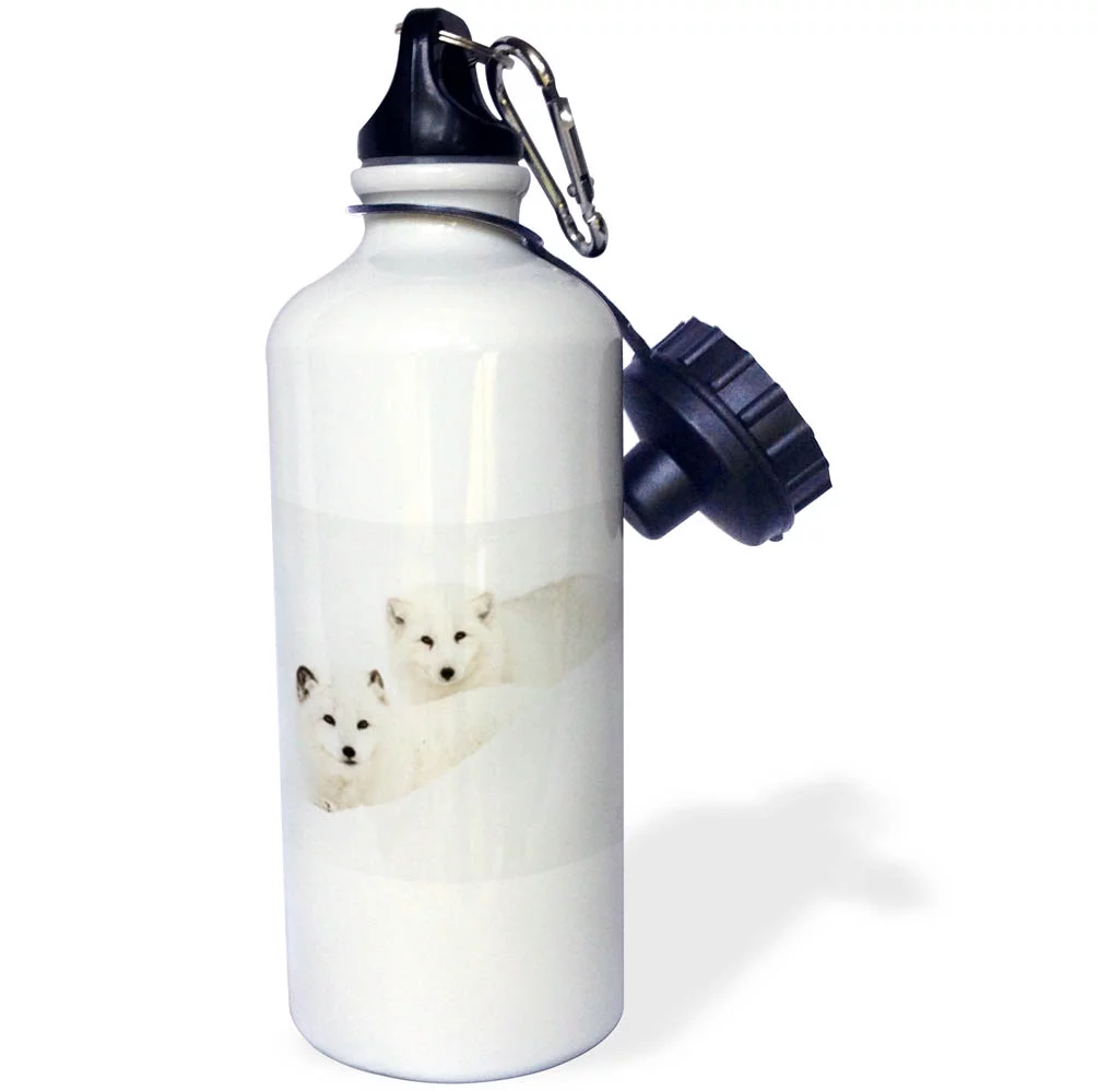 3dRose Two Arctic Foxes blending into snow, Montana - Straw Water Bottle, 21-ounce