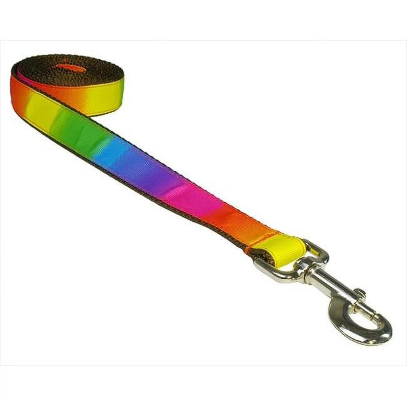 4 ft. Dog Leash, Rainbow - Small