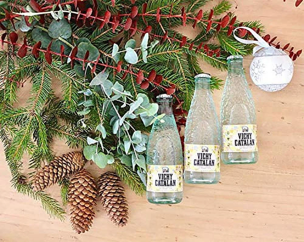 Sparkling Mineral Water  16.9 Oz (500 Ml) (20 Glass Bottles)