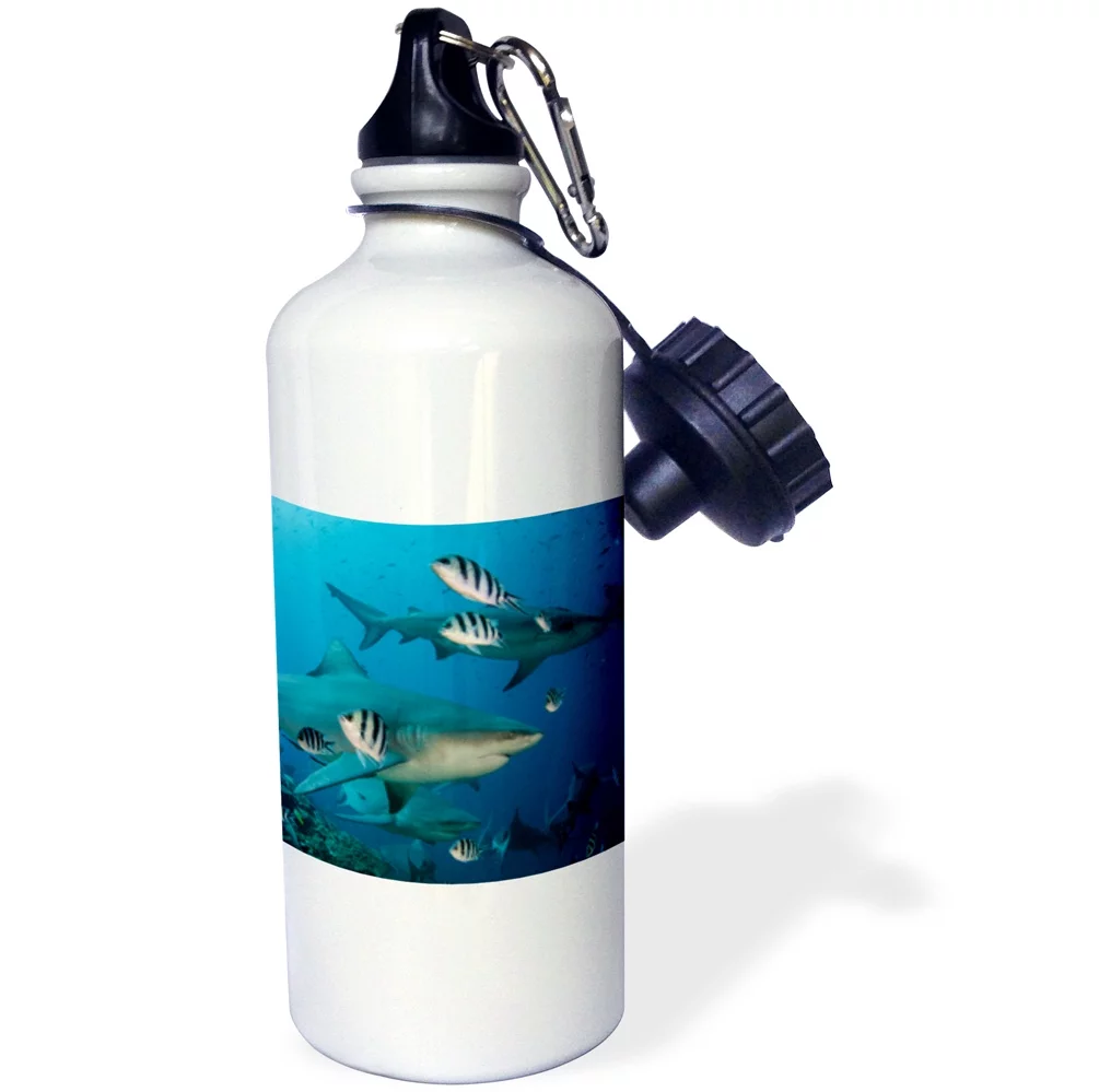 3dRose Bull Shark underwater, Benga Lagoon, Viti Levu, Fiji. - Straw Water Bottle, 21-ounce