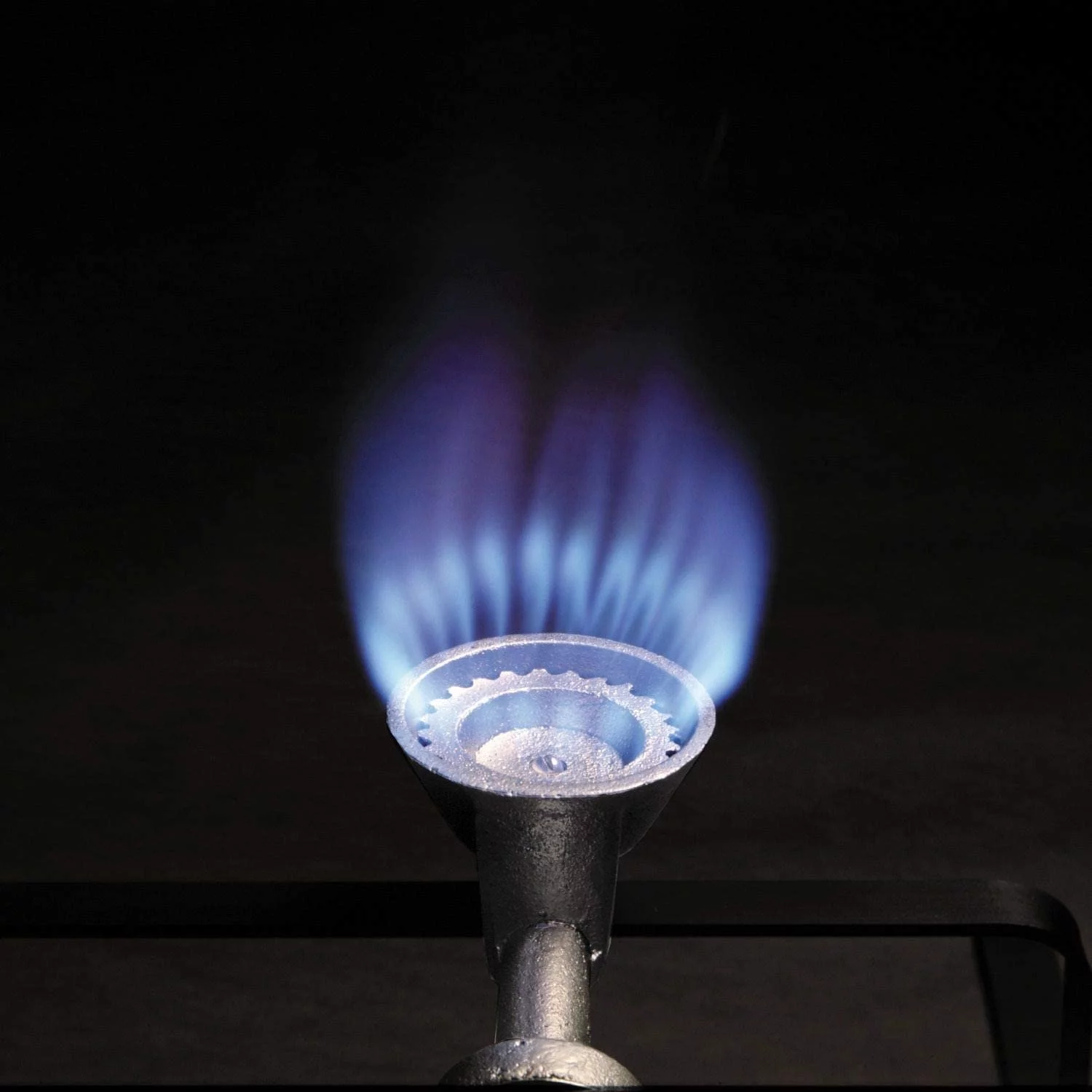 Bayou Classic AL10 4