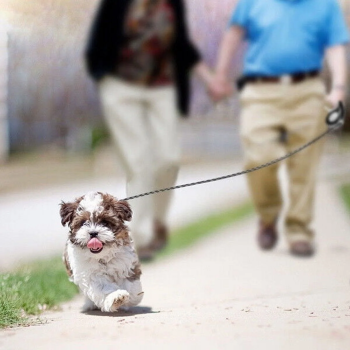 3/5M Automatic Retractable Walking Running Leads Dog Leashes Dogs Pet Products