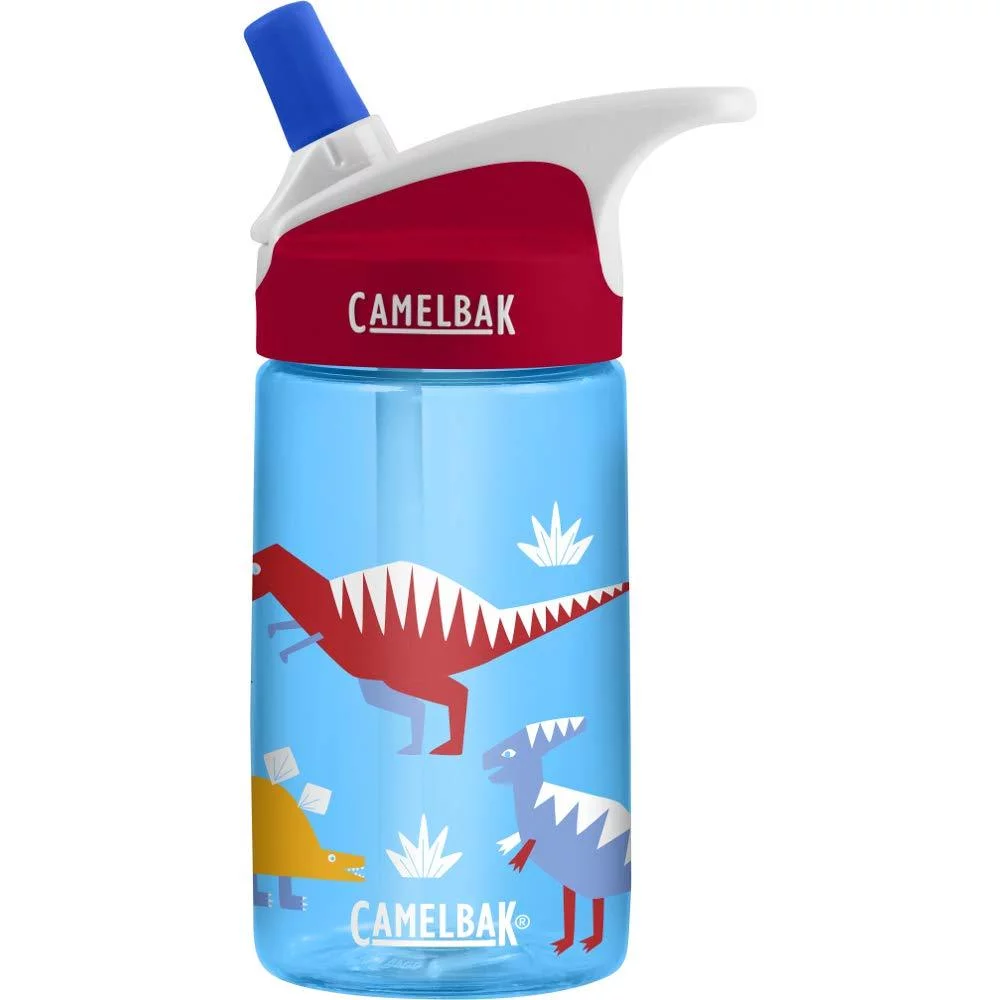 CamelBak Eddy Kids BPA Free Water Bottle Airplane Bandits Bottle Only