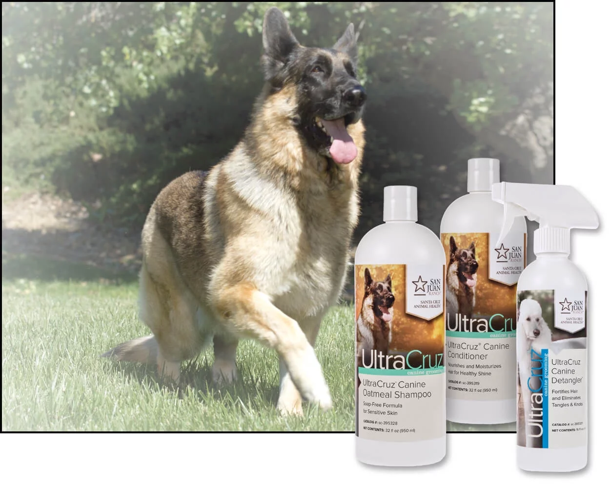 UltraCruz Canine Oatmeal Dog Shampoo & Conditioner Bundle, 32 oz Each with 16 oz Detangler