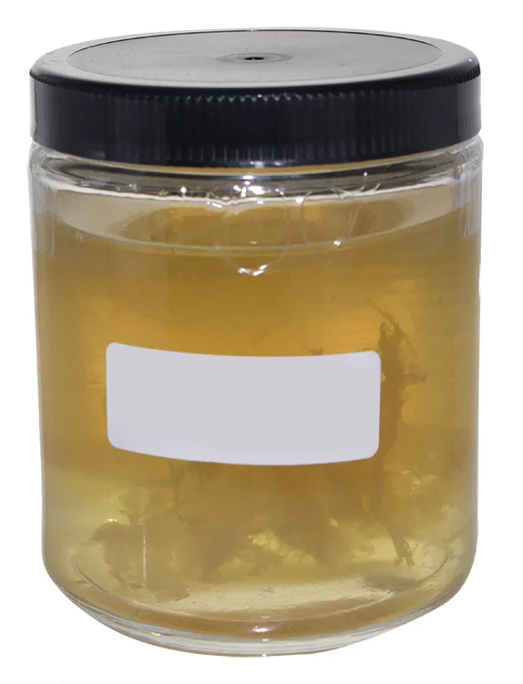 Supreme Apple Cider Mother of Vinegar