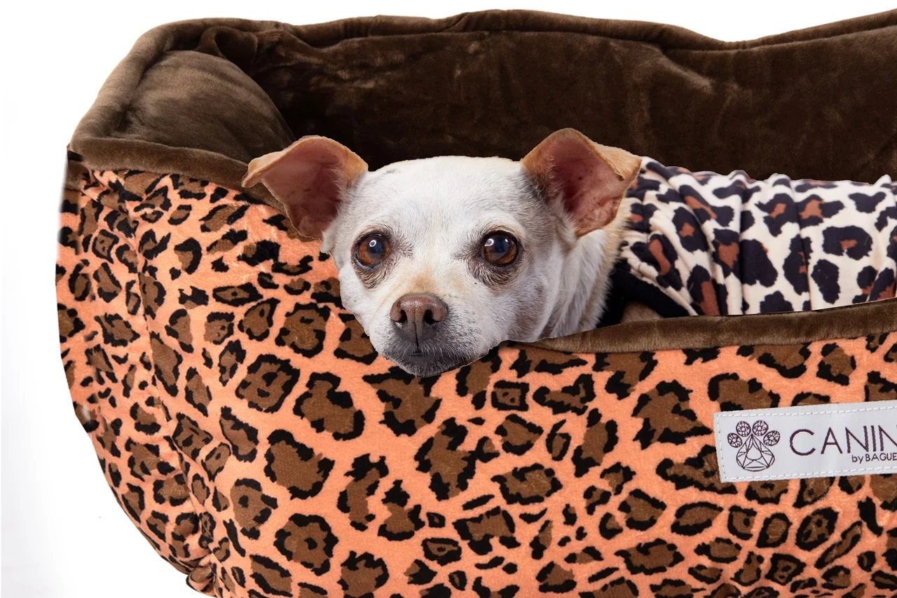 CANINI by Baguette Reversible Micro-Plush Dog Bed for Small-Sized Breeds, Leopard Print