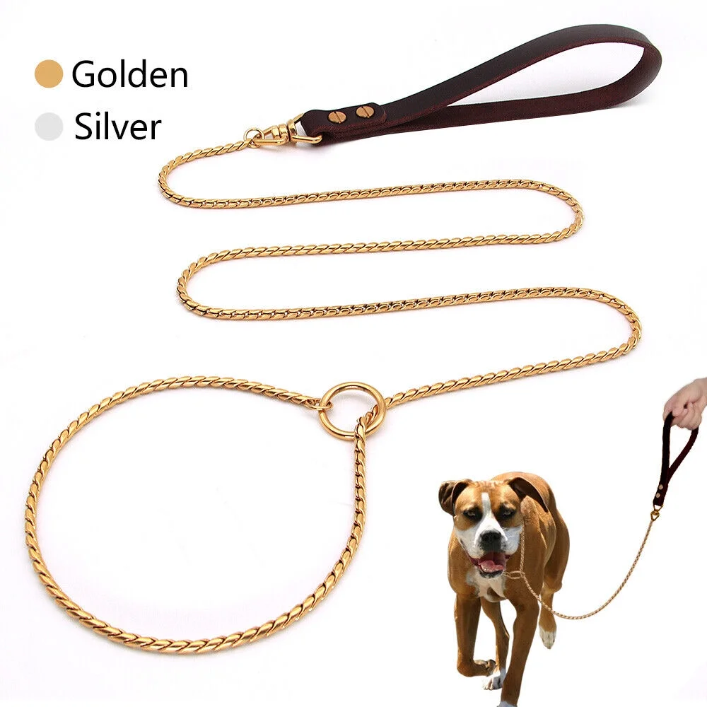 Didog Stainless Steel Outdoor P Chain Slip Collar Pet Leash with Genuine Leather Handle for Dog Training