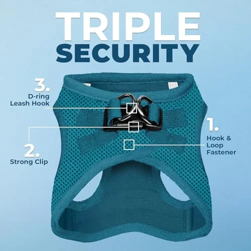 Voyager Step-in Air Dog Harness - All Weather Mesh Step in Vest Harness for Small and Medium Dogs and Cats by Best Pet Supplies - Harness (Turquoise), M (Chest: 16-18