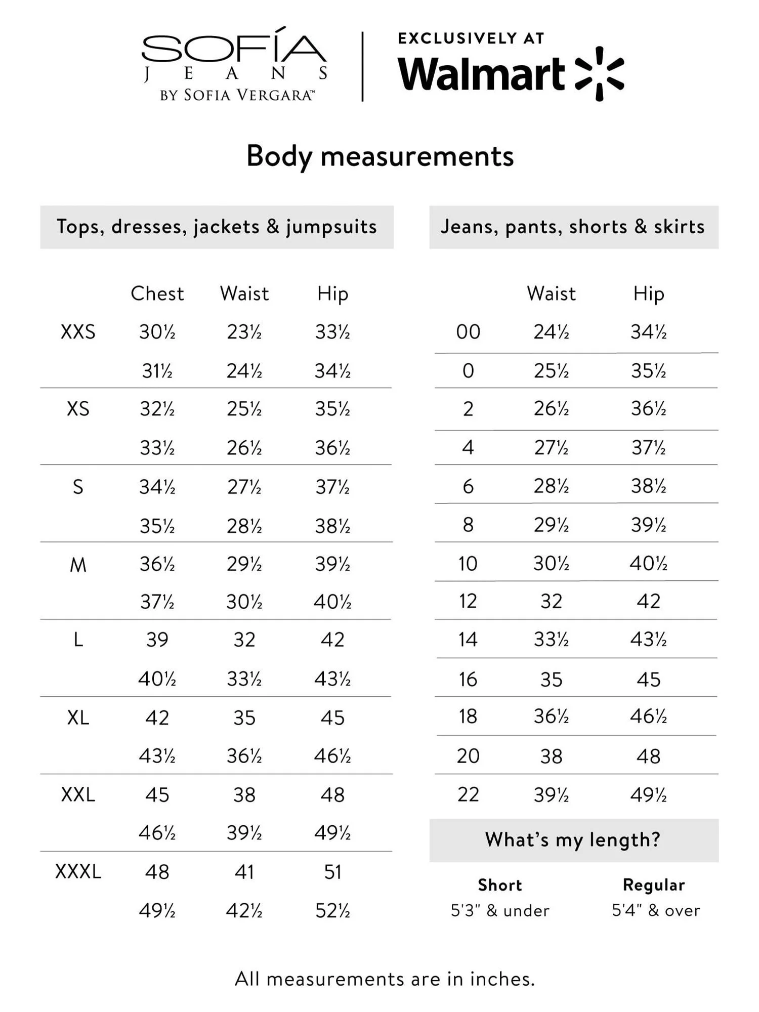 Sofia Jeans by Sofia Vergara Women's Rib Knit Pants